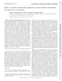 Spiders in motion: demonstrating adaptation, structure