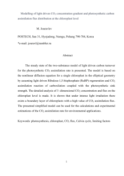 Modelling of light driven CO2 concentration