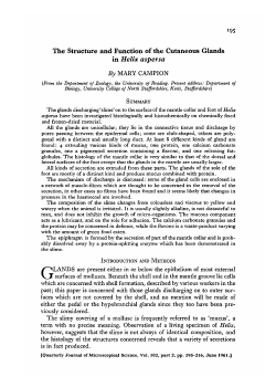 The Structure and Function of the Cutaneous Glands in Helix aspersa