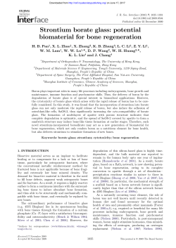 Strontium borate glass: potential biomaterial for bone regeneration