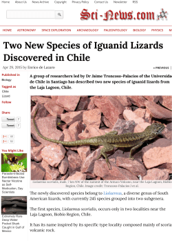 Two New Species of Iguanid Lizards Discovered in Chile