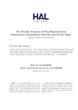 The Peculiar Features of Non-Photochemical - HAL