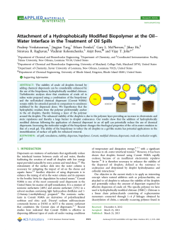 Attachment of a Hydrophobically Modified Biopolymer at the Oil