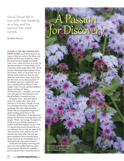David Zlesak fell in love with rose breeding as a boy, and his