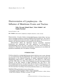 The influence of membrane events and nucleus