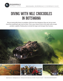 BAE Crocodiles PDF and Form 3_1_2016