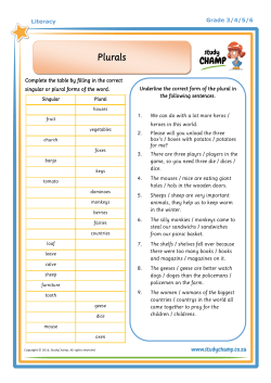 Plurals - StudyChamp