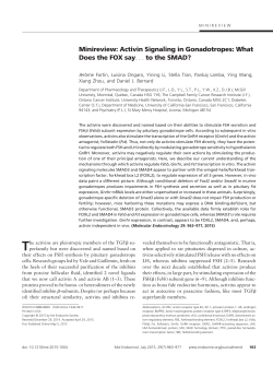 Minireview: Activin Signaling in Gonadotropes: What Does the FOX