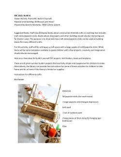 SRC 2015: Build It! Tween Activity Theme #3. Build it Yourself