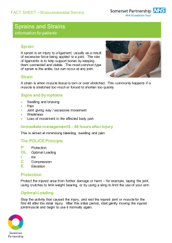 Fact sheet - MUSCULOSKELETAL - Sprains and Strains FINAL