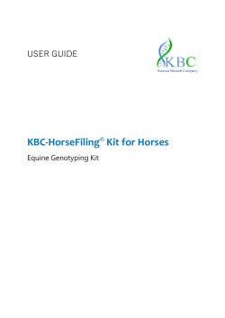 KBC-HorseFiling Kit User manual