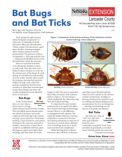 Bat Bugs and Bat Ticks - Nebraska Extension in Lancaster County