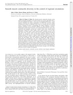 Smooth muscle contractile diversity in the control of regional