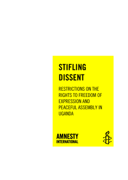 PDF - Amnesty International