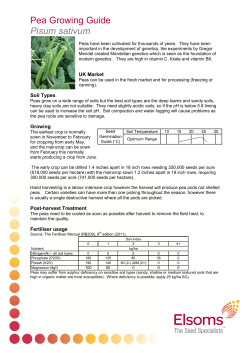 Pea Growing Guide
