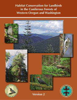 Habitat Conservation for Landbirds in the Coniferous Forests of