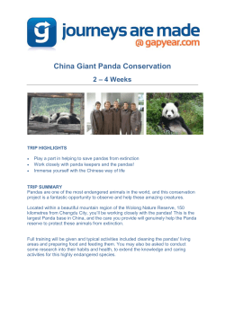 China Giant Panda Conservation