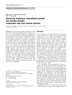 Intersexual dominance, masculinized genitals and prenatal steroids