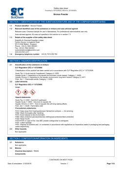 Bronze Powder SECTION 1: IDENTIFICATION OF THE