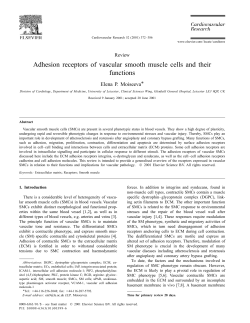 Adhesion receptors of vascular smooth muscle cells and their