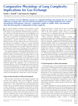 Implications for Gas Exchange