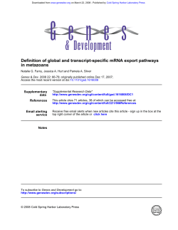 in metazoans Definition of global and transcript