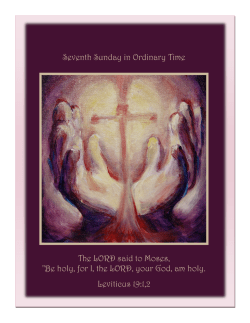 Untitled - Cathedral of the Holy Cross