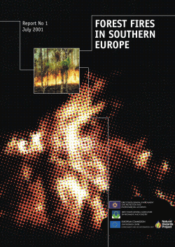 forest fires in southern europe