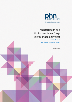 Final Report Alcohol and Other Drugs October 2016