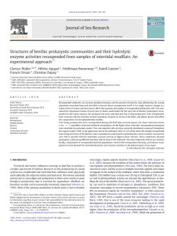 Structures of benthic prokaryotic communities and their hydrolytic
