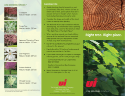 Right tree. Right place.