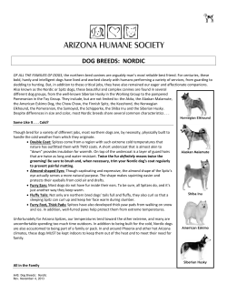 AVERSIVES FOR DOGS - Arizona Humane Society