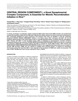 CENTRAL REGION COMPONENT1, a Novel
