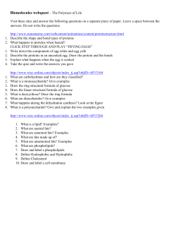Biomolecules webquest &ndash; The Polymers of Life Visit these sites and