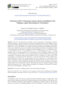Taxonomy of the Crematogaster degeeri-species