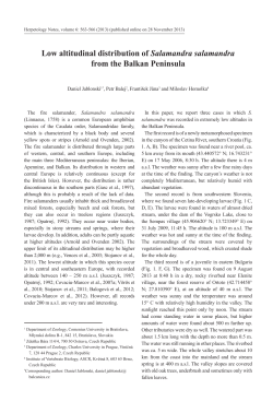 Low altitudinal distribution of Salamandra salamandra from the