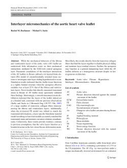 Interlayer micromechanics of the aortic heart valve leaflet