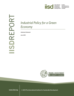 Industrial Policy for a Green Economy