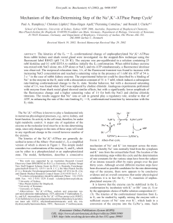 Mechanism of the Rate-Determining Step of the Na, K