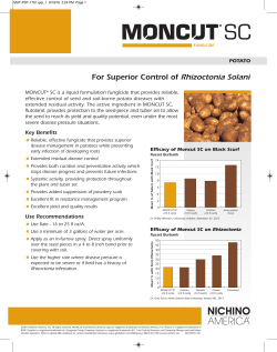 Potato &ndash; Moncut&reg; SC