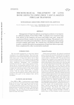 microsurgical treatment of long bone defects using free