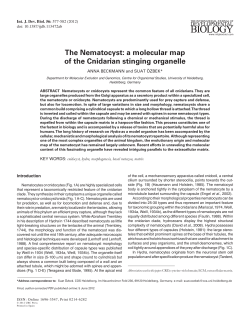 The Nematocyst: a molecular map of the Cnidarian stinging organelle