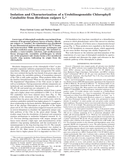 Isolation and Characterization of a Urobilinogenoidic Chlorophyll