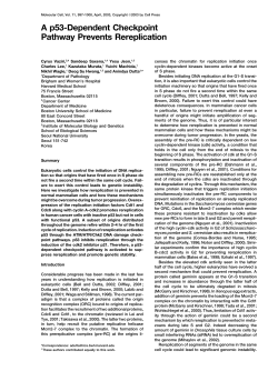 A p53-Dependent Checkpoint Pathway Prevents Rereplication