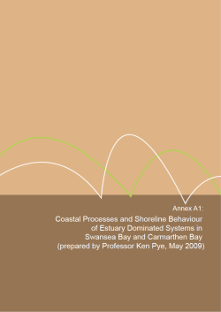 Coastal processes and shoreline behaviour in
