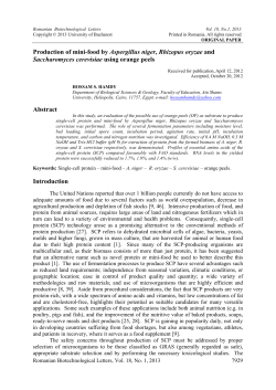 Production of mini-food by Aspergillus niger, Rhizopus oryzae and