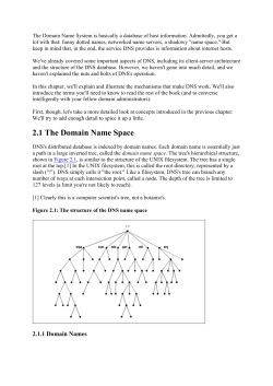 2.1 The Domain Name Space