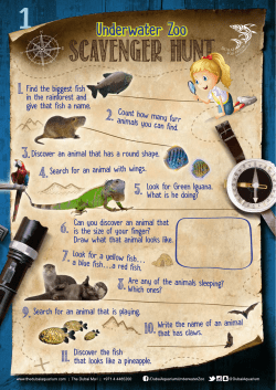 Scavenger Worksheet PDF