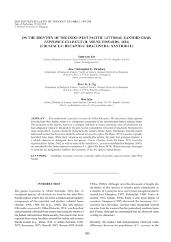 189 on the identity of the indo-west pacific littoral xanthid crab