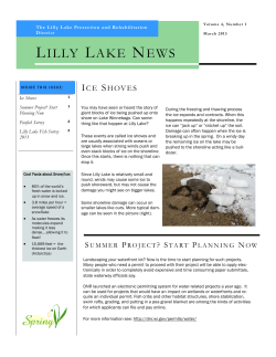 Lilly Lake Newsletter - Vol. 4